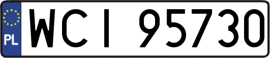 WCI95730