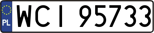 WCI95733