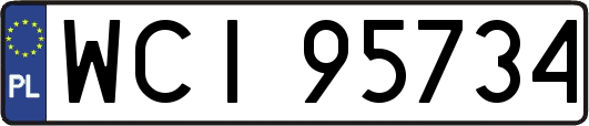 WCI95734