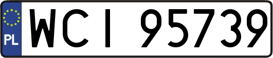 WCI95739