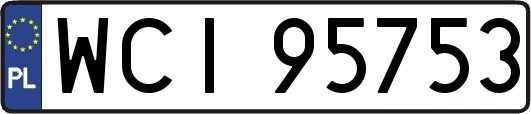 WCI95753