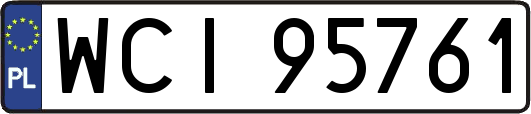 WCI95761
