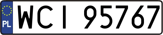 WCI95767