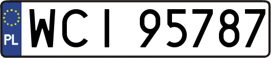 WCI95787