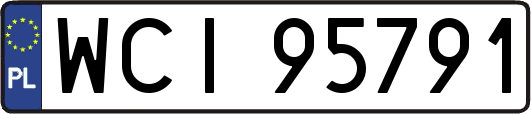 WCI95791