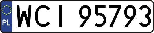 WCI95793