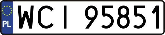 WCI95851