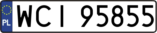 WCI95855