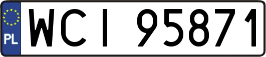 WCI95871