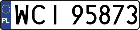 WCI95873