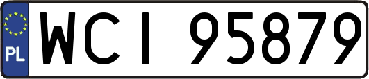 WCI95879