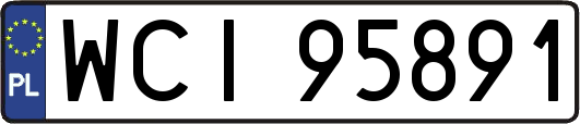 WCI95891