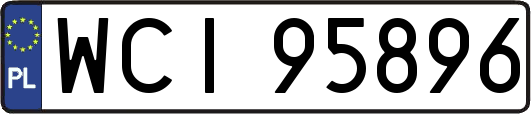WCI95896