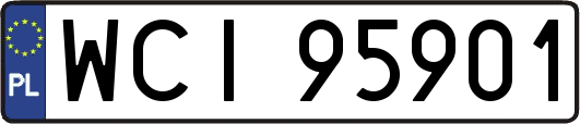 WCI95901
