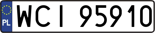 WCI95910