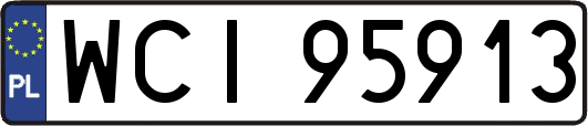 WCI95913