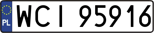 WCI95916