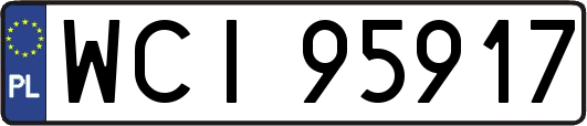 WCI95917