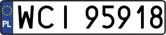 WCI95918