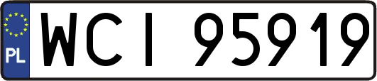 WCI95919