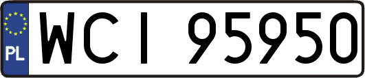 WCI95950
