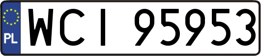 WCI95953