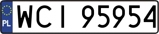 WCI95954