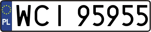 WCI95955