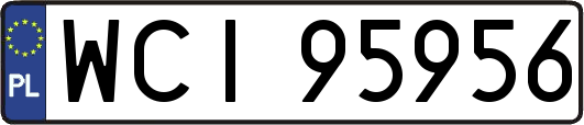 WCI95956