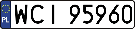 WCI95960