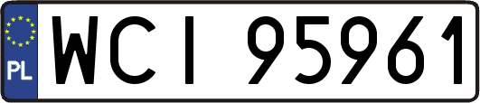 WCI95961
