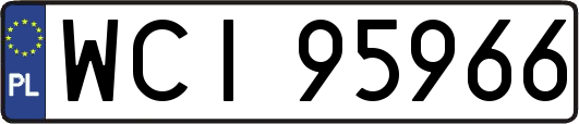 WCI95966