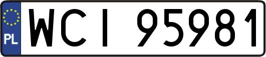 WCI95981