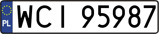 WCI95987