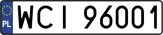 WCI96001