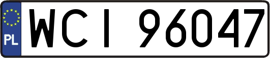 WCI96047