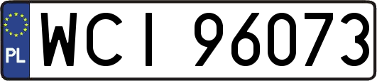 WCI96073