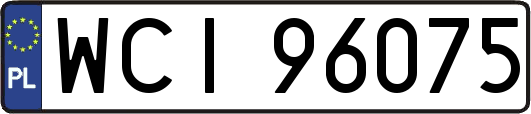 WCI96075