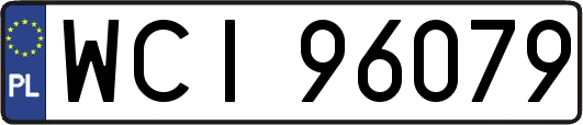 WCI96079
