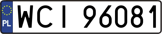 WCI96081