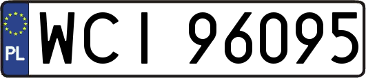 WCI96095