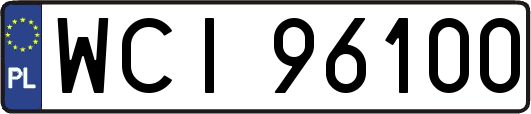 WCI96100