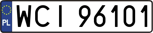 WCI96101