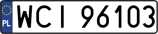 WCI96103