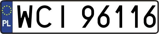 WCI96116
