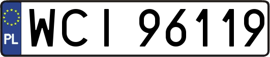 WCI96119