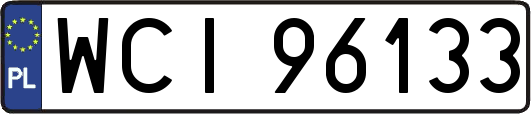 WCI96133