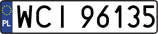 WCI96135