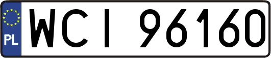 WCI96160