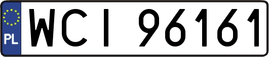 WCI96161